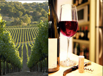 Russian River wine country tours